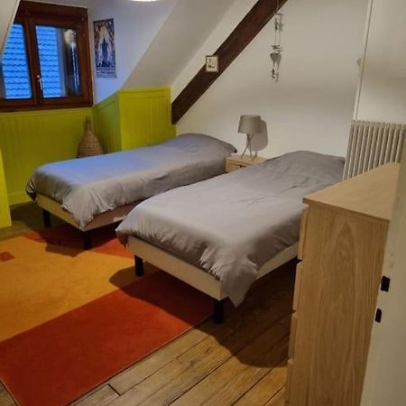 Appartement Centre-Ville Кольмар Екстер'єр фото