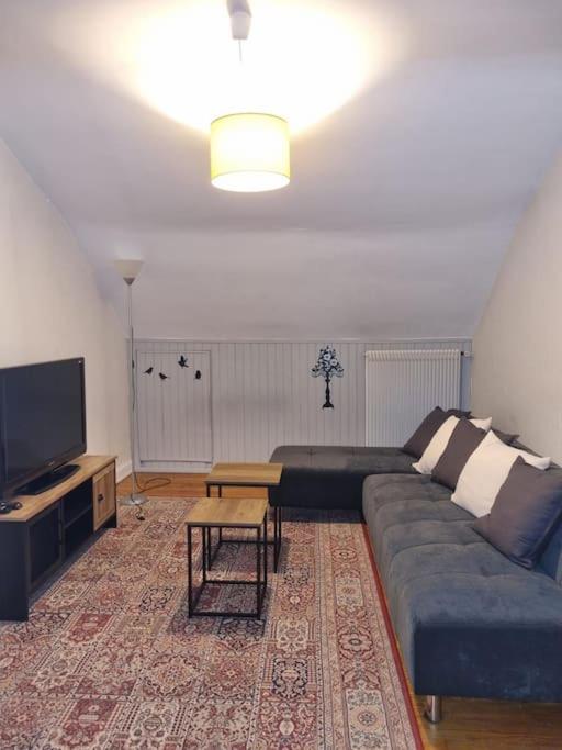 Appartement Centre-Ville Кольмар Екстер'єр фото